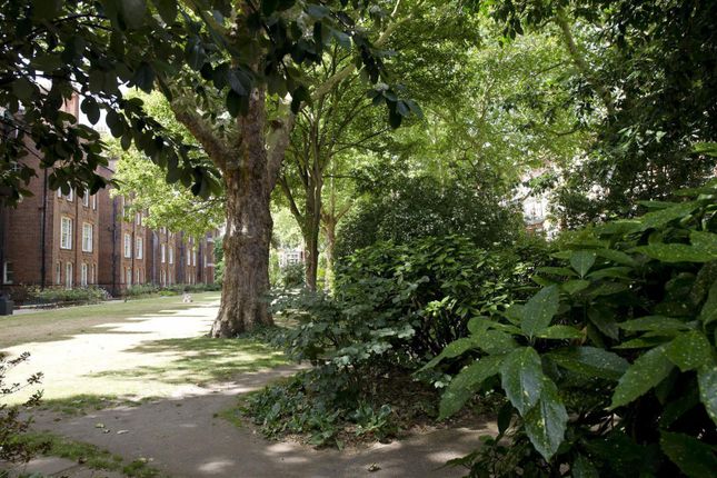 Flat to rent in Cranley Gardens, London