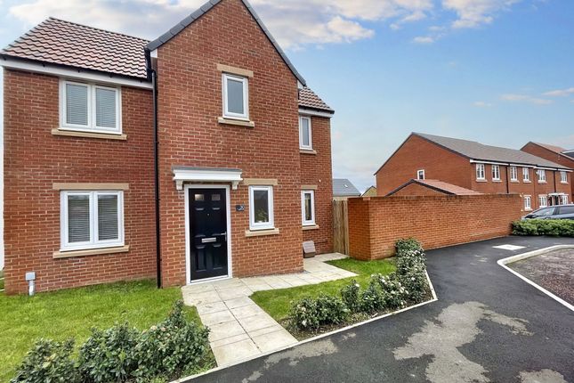 Thumbnail Detached house for sale in Reed Close, Coxhoe, Durham