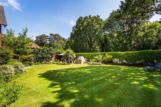 Detached house to rent in On The Cricket Green, Blackheath, Guildford, Surrey
