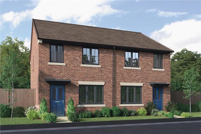 Roman Fields development image 0