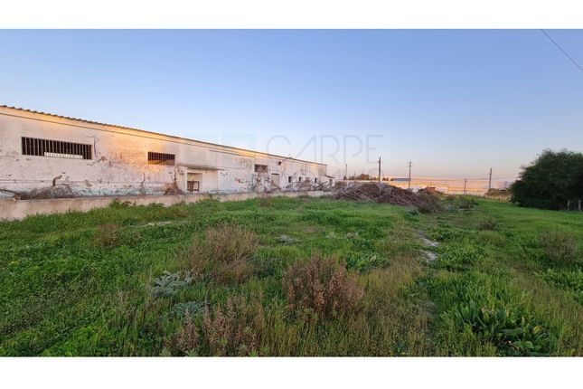 Porto Alto, Samora Correia, Benavente, land for sale - 60340734 |  PrimeLocation