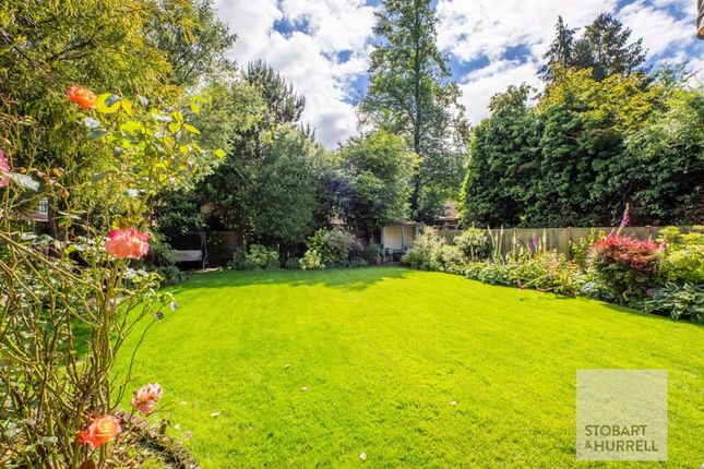 Lawn Garden