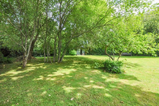 Property for sale in Lower Rowe, Holt, Wimborne