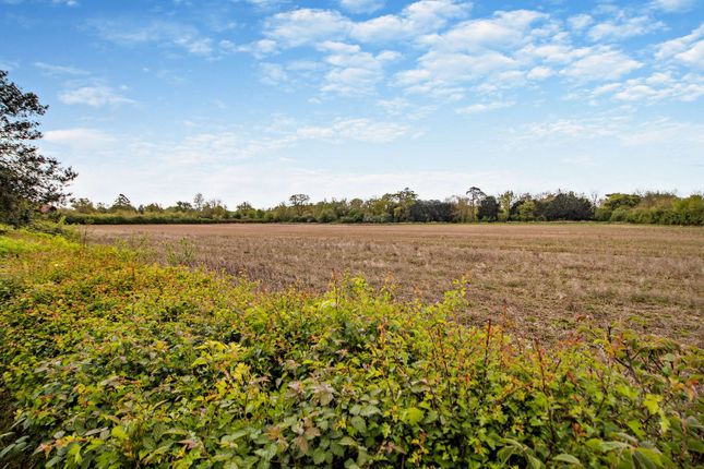 Land for sale in The Street, Brandeston, Woodbridge, Suffolk