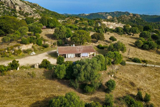 Villa for sale in Olbia, Olbia-Tempio, Sardinia