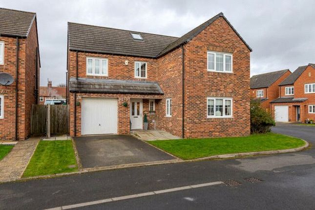 Thumbnail Detached house for sale in Ascot Close, Northallerton