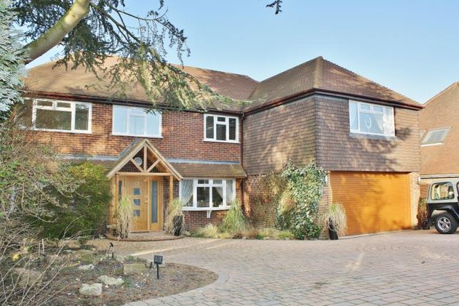 Thumbnail Detached house to rent in Pewley Hill, Guildford, Surrey