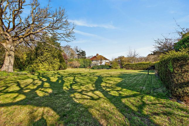 Norbon,, School Lane, Ingatestone photo 2