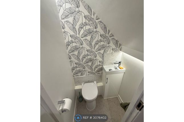 Colchester photo 4