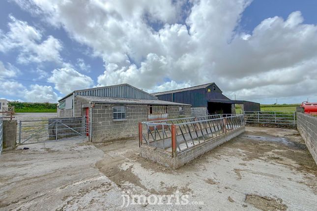 Nanthiggin, Maenclochog, Clynderwen photo 4