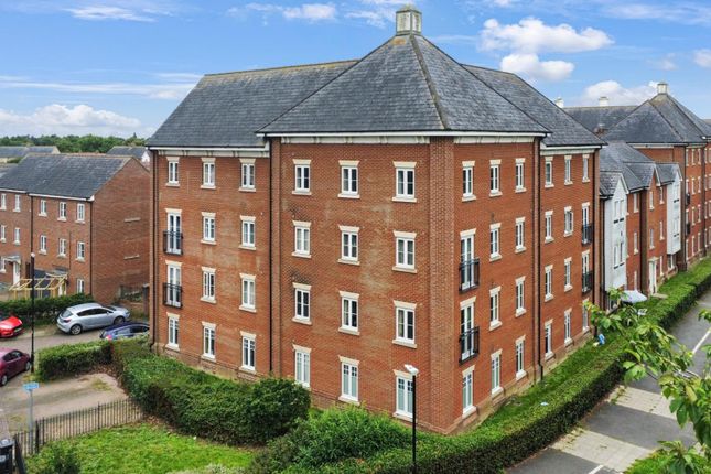 Dji_Fly_20240724_170732_723_1721837265099_Photo_Op