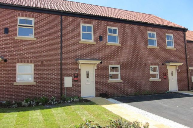 Thumbnail Mews house to rent in Spinning Drive, Sherwood, Nottingham