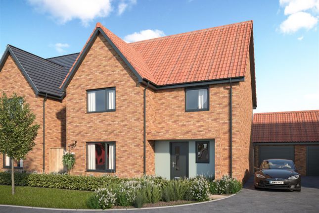 Thumbnail Detached house for sale in Barn Owl Road, Yatton, Bristol