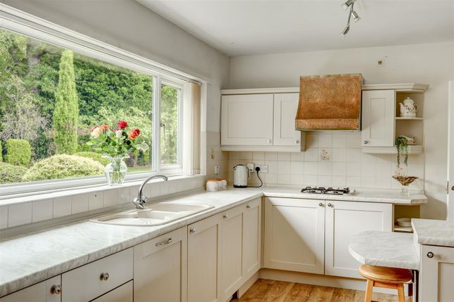 Whinfell Spinney, Penrith photo 4