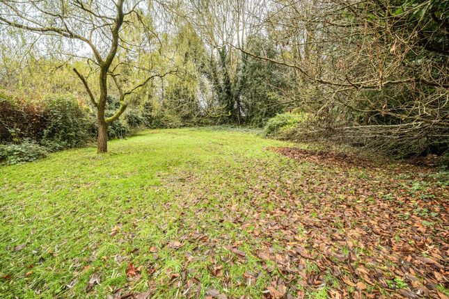 Fairfields,, The Green, Godalming photo 3
