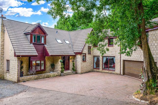 Main Birch Lodge