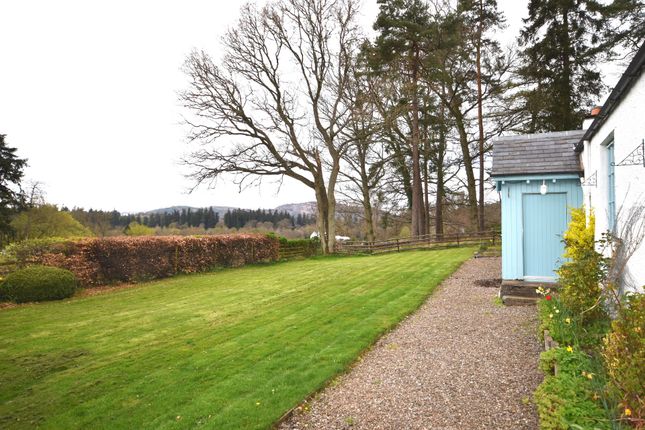 Cottage to rent in Manse Road, Caputh, Perthshire