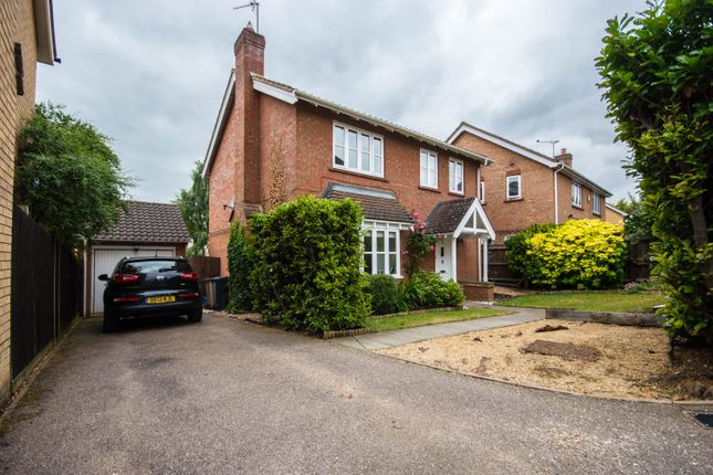 Thumbnail Detached house to rent in Martins Drive, Hertford