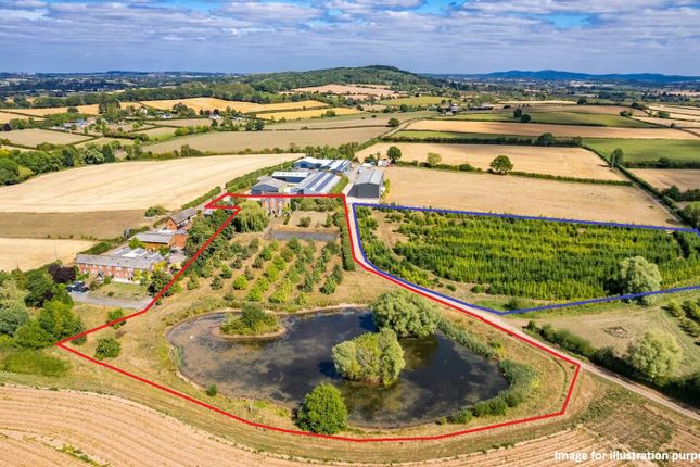 Pomona Farmhouse Aerial Photos.Jpg