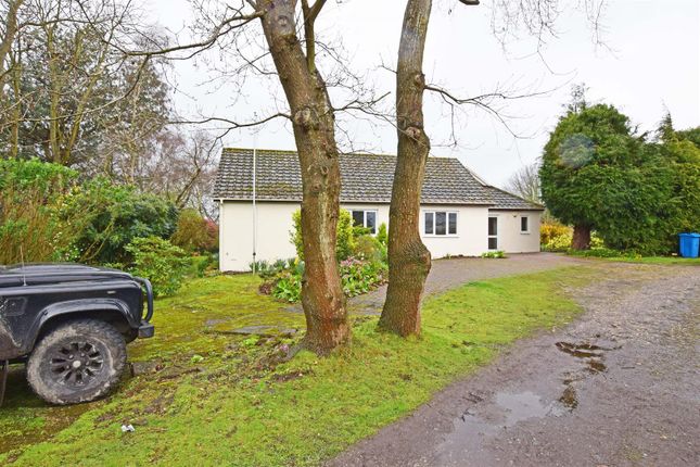 Detached bungalow to rent in Woodgate Lane, Borden, Sittingbourne