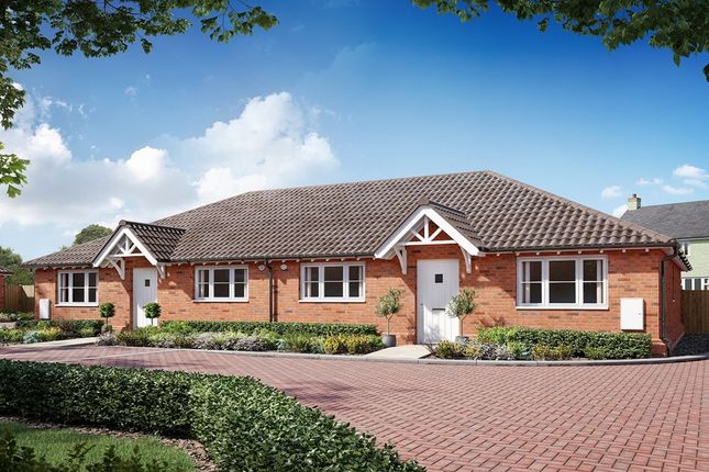 Thumbnail Bungalow for sale in "The Primrose - Plot 459" at Stirling Close, Maldon