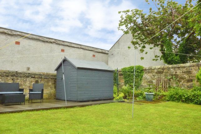 28c, Patterson Street, Kirkcaldy photo 4