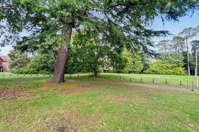 37, Broadhurst, Farnborough photo 2