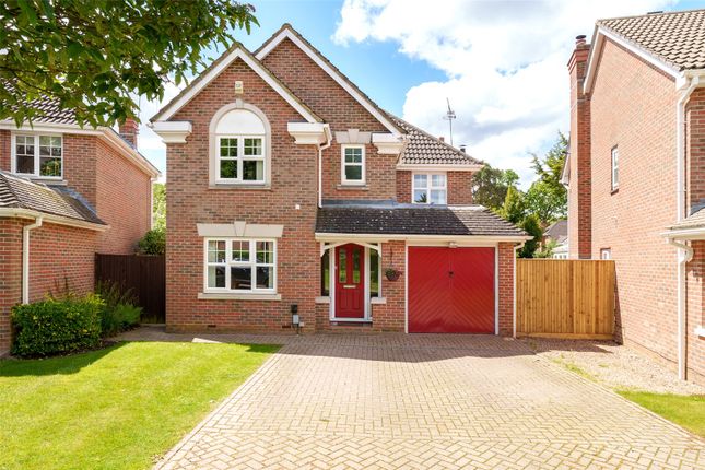Thumbnail Detached house to rent in Seymour Drive, Camberley, Surrey