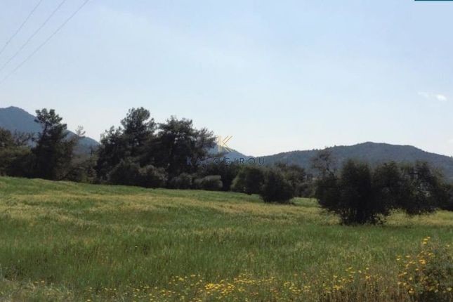 Land for sale in Pyrga, Cyprus