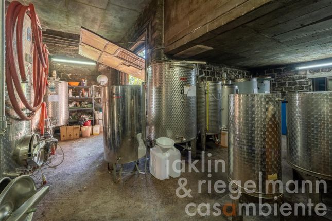 Country house for sale in Italy, Umbria, Terni, Montegabbione