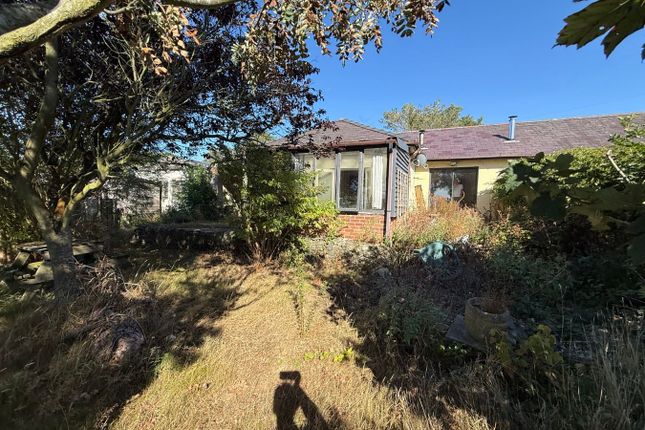 2 Wernllaeth Cottages, Llanon photo 4