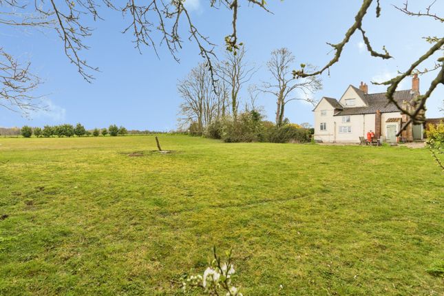 Manor Farm,, Station Road, Beccles photo 2