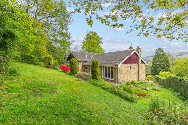 27, Curly Hill, West Yorkshire photo 2
