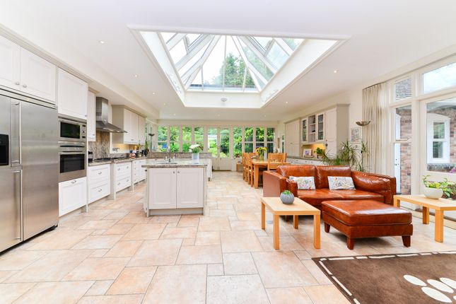 Kitchen/Dining/Family Room