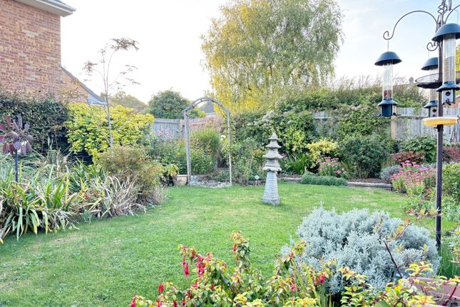 19, Buriton Road, Winchester photo 3
