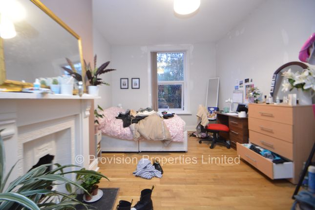 Ash Grove, Hyde Park photo 3
