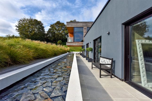 Water Feature