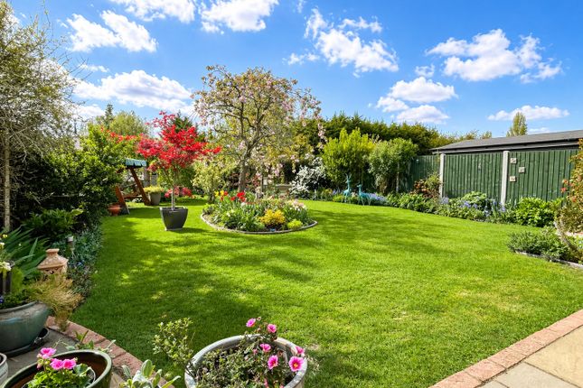 22, Barbrook Lane, Colchester photo 4
