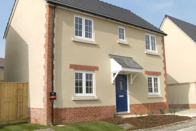 Thumbnail Detached house to rent in Lion Drive, Milborne Port, Sherborne, Dorset