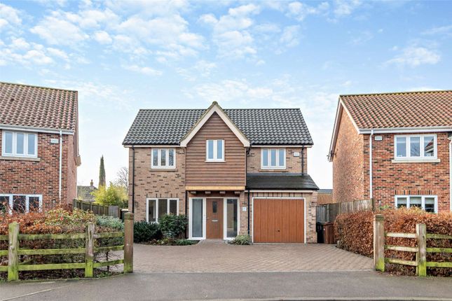 Thumbnail Detached house for sale in Bentley Road, Forncett St. Peter, Norwich, Norfolk