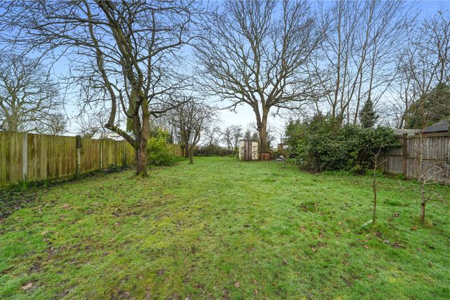 Alan Dene,, Ardleigh Road, Colchester photo 4