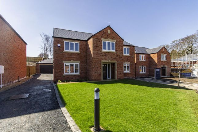 Thumbnail Detached house for sale in Whitebank Close, Hasland, Chesterfield
