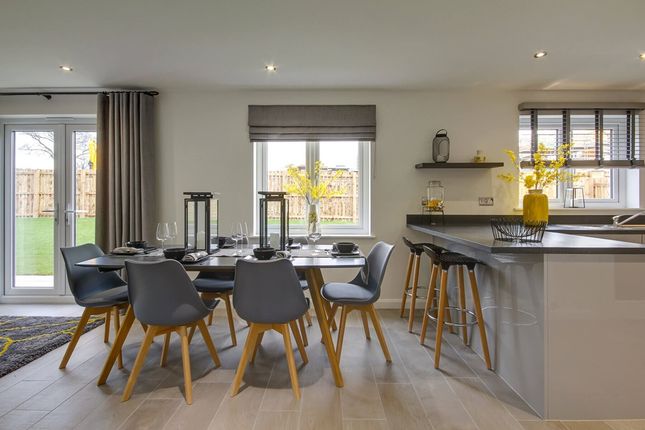 The Lewis - Plot 11, Whitefield Gardens, Whitefield Road, Dunfermline photo 4