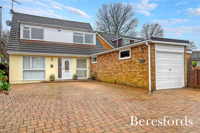 Thumbnail Detached house for sale in Bluebell Wood, Billericay