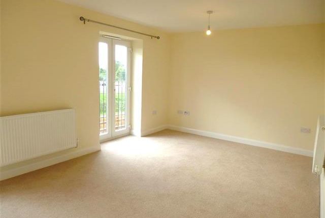 25, Taunton photo 4