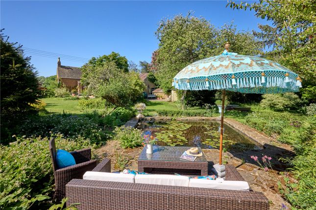 Pond Area