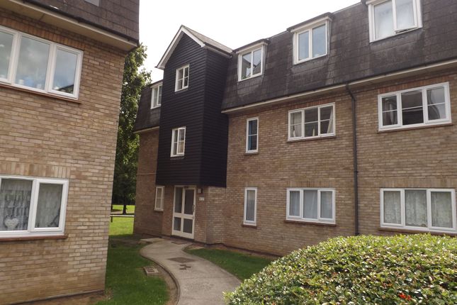 24, Basildon photo 2