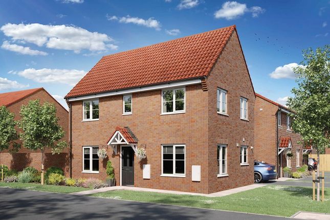 Thumbnail Detached house for sale in "The Easedale - Plot 77" at Beaumont Hill, Darlington
