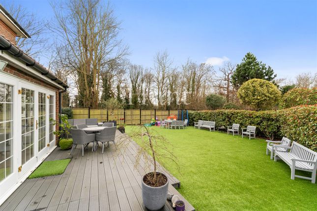 Patio And Garden