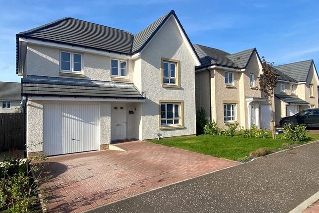 South Larch Lane, Dunfermline, Dunfermline photo 5